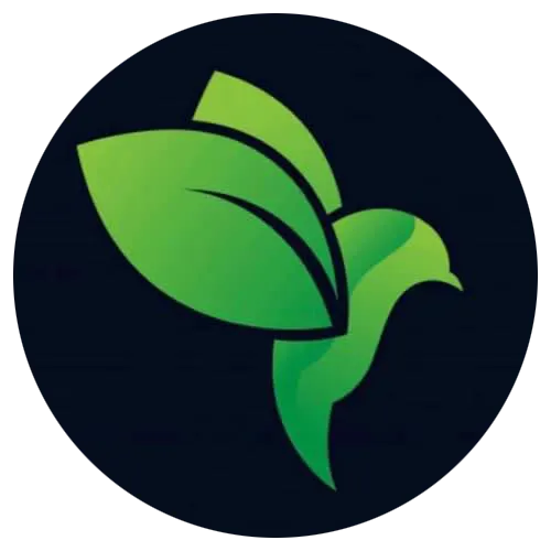 Morning Byrd Landscaping