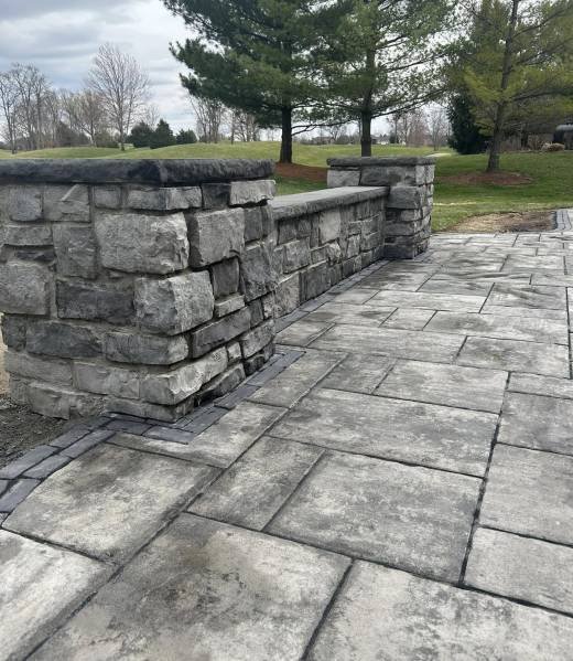 491939615_1272880814197148_4806628740333950252_n