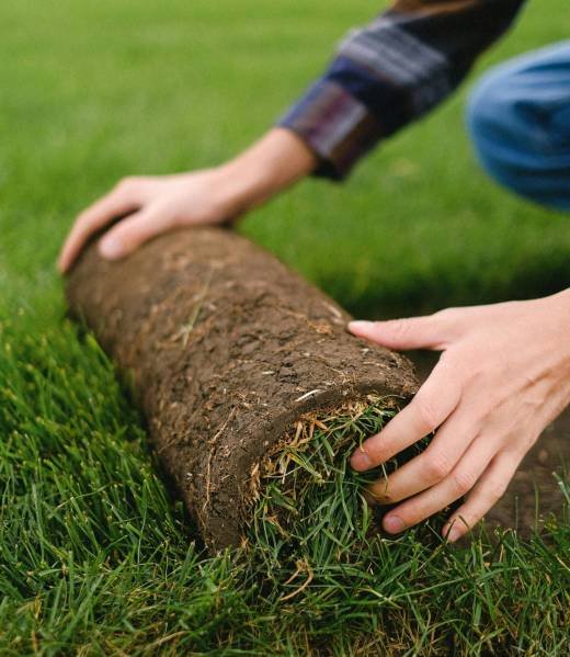 Sod Installation Cincinnati