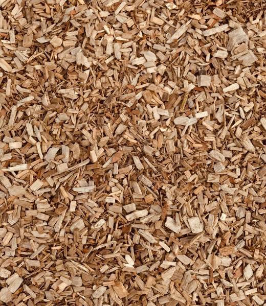 rob-evel-O2Pn6LBp6Y0-unsplash